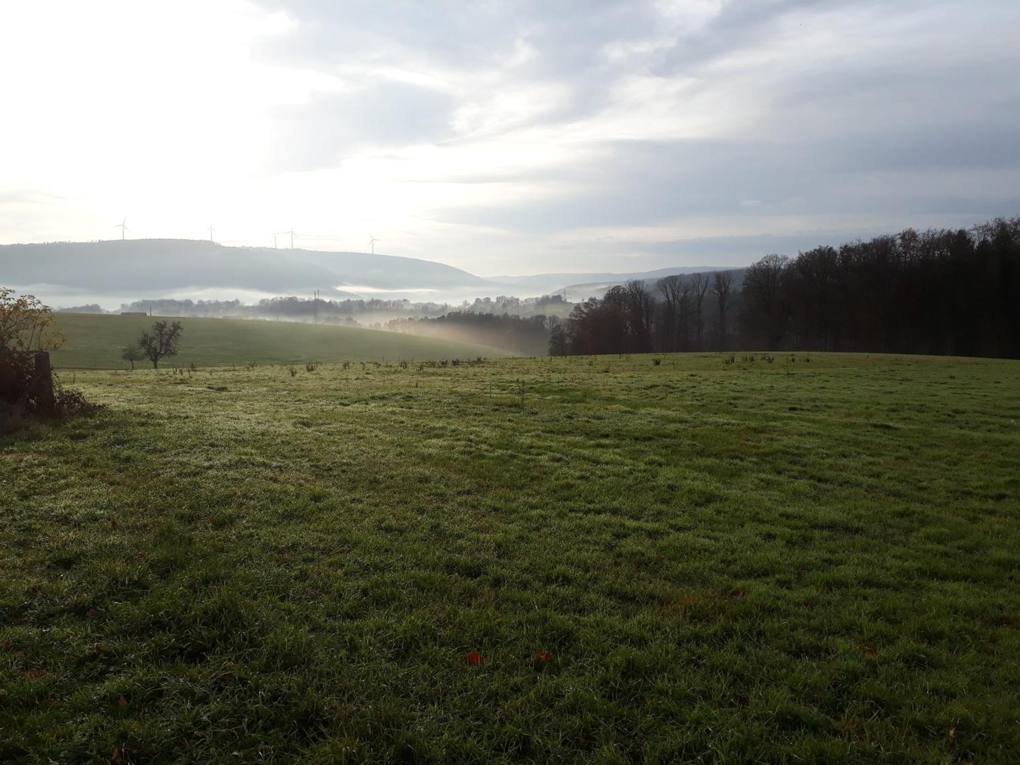 Ellernhof Im Spessart Villa Stadtprozelten Bagian luar foto