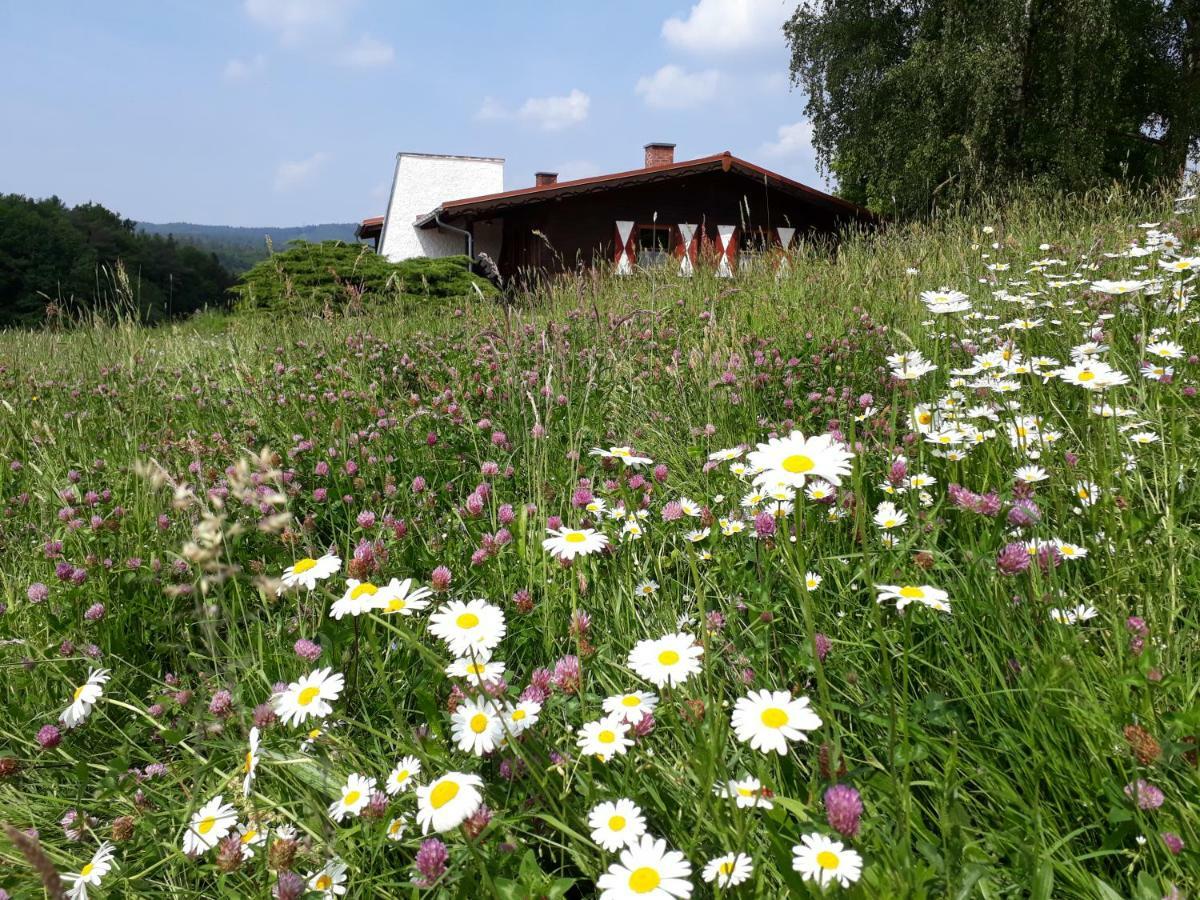 Ellernhof Im Spessart Villa Stadtprozelten Bagian luar foto