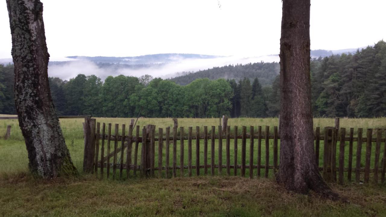 Ellernhof Im Spessart Villa Stadtprozelten Ruang foto